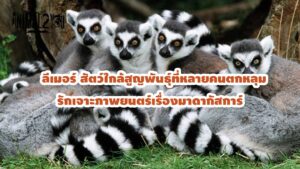 ลีเมอร์