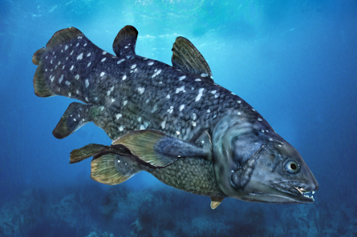 fossil fish1