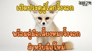 เปิดประตูสู่โลกจิ้งจอก
