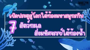 สัตว์ทะเล