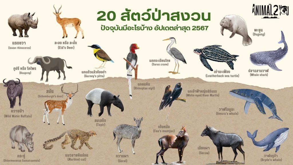 List of wild and endangered animals