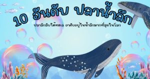 ปลาทะเลน้ำลึก